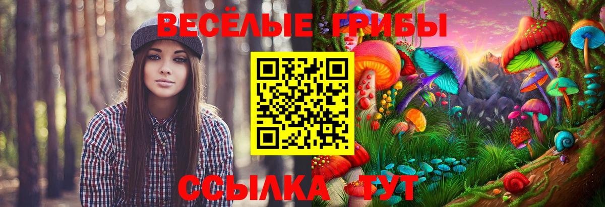 Псилоцибиновые грибы ЛСД Александров
