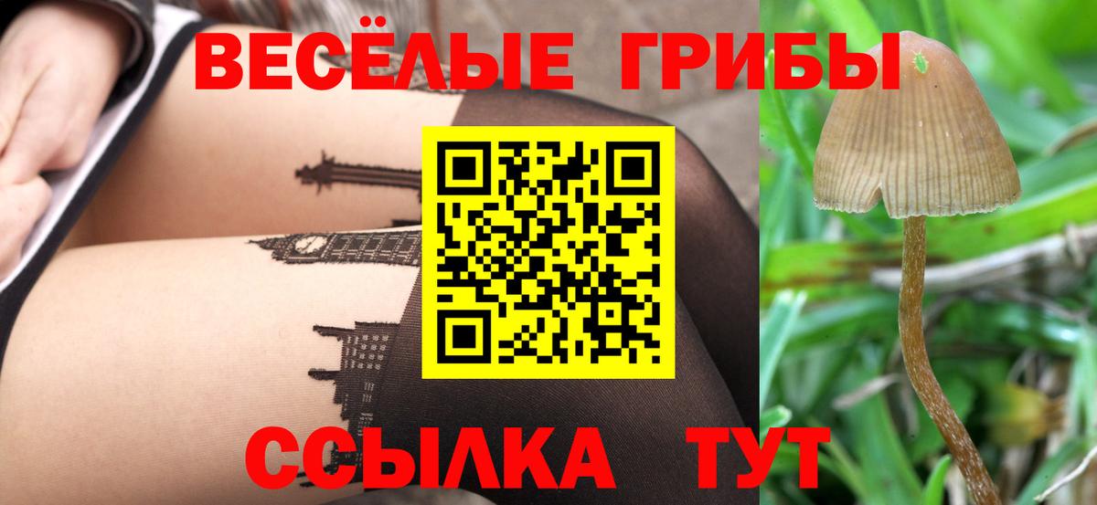 Галлюциногенные грибы Magic Shrooms  Вход с VPN  Александров 