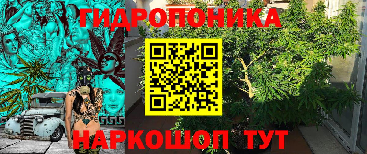 Александров  Конопля ГИДРОПОН  Каннабис ГИДРОПОН  Вход с VPN  Конопля планчик  МАРИХУАНА планчик 